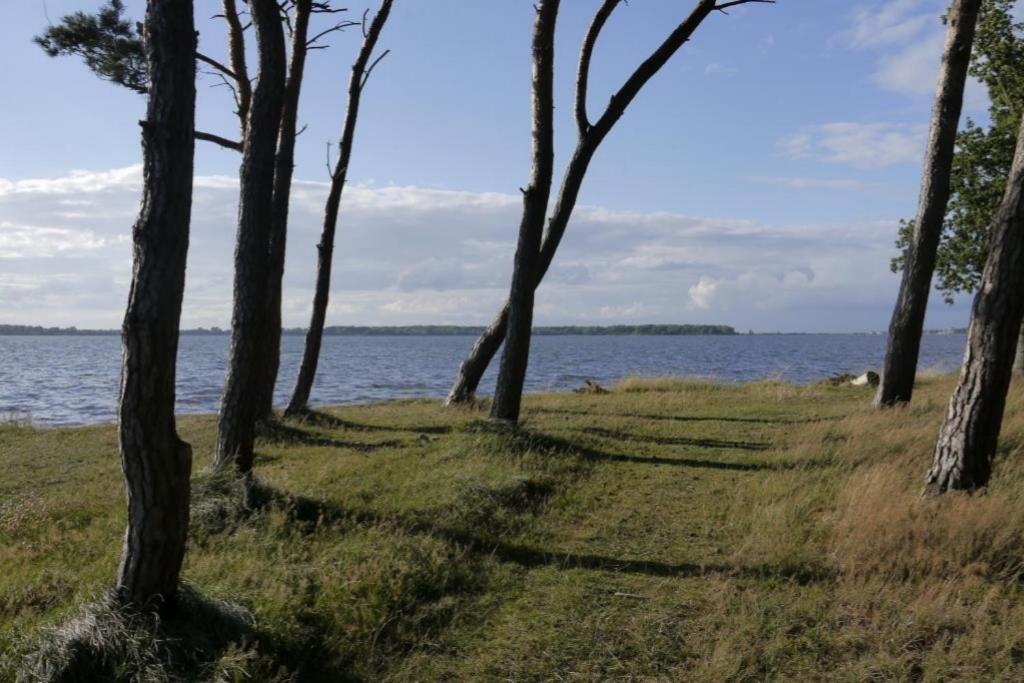 Fewo 08 Seemoewe Mit Blick Auf Salzhaff Und Ostsee Rerik Exteriör bild